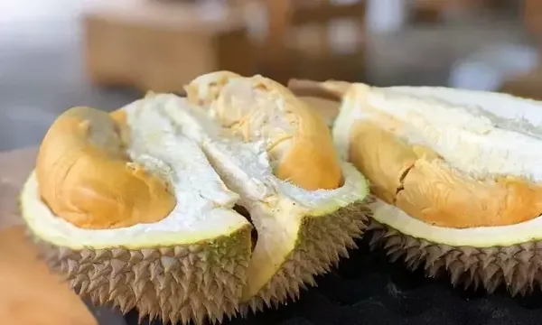 Load failed