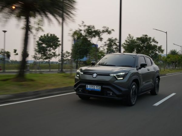 Suzuki e Vitara.