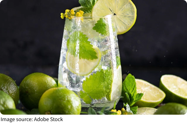 Sparkling Mint Lime