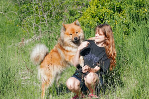Dogs Boost Joy!