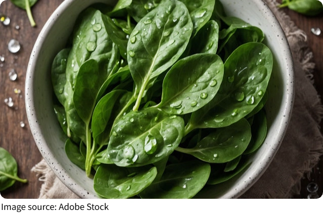 Les légumes verts