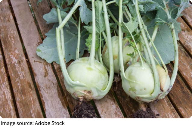Hidden Gem Veggies You Need
