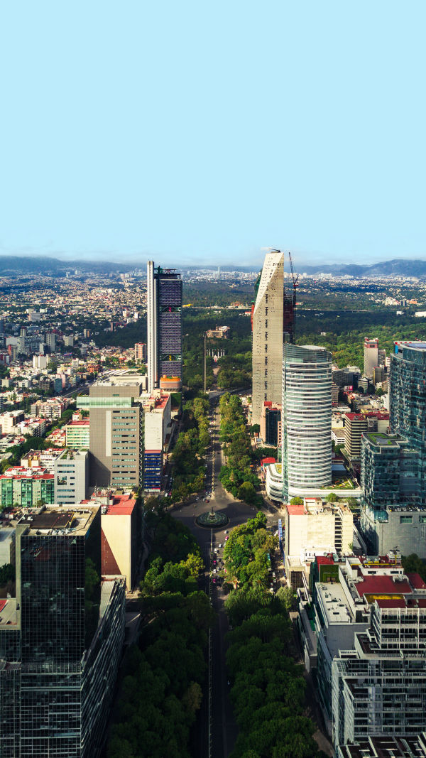 Reforma Made Easy