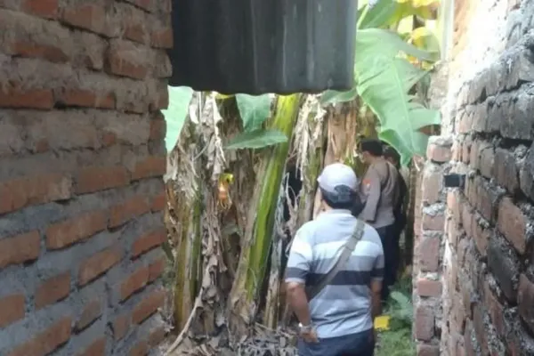 Load failed