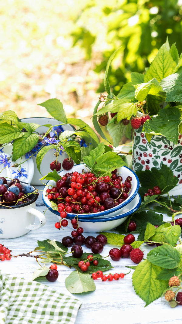 Health Benefits of Cherries