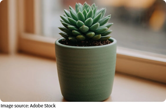 Green Meets Warmth