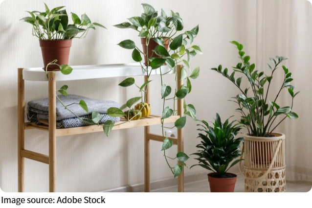 Green Meets Warmth