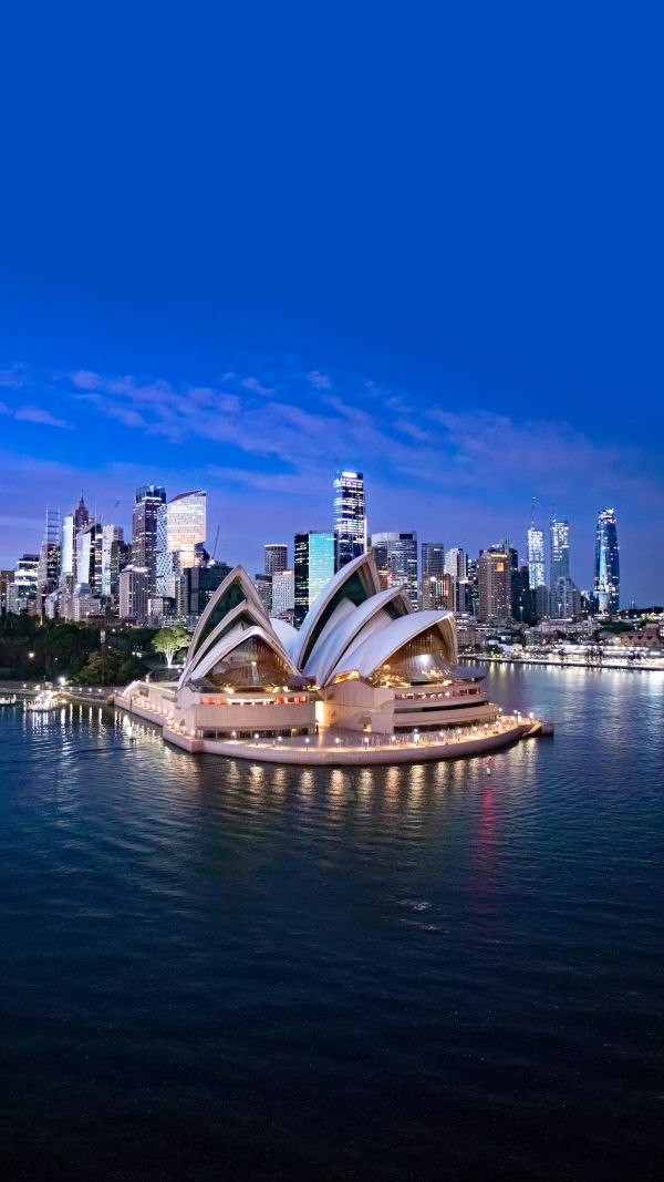 Sydney Shell Wonder