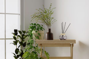 Best Plant Investment