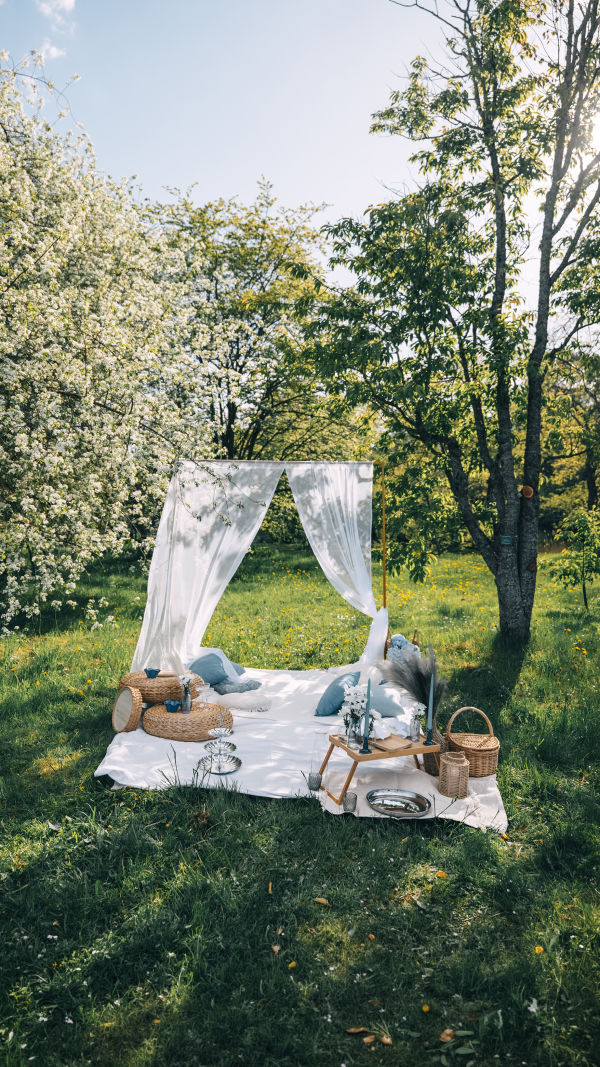 Picnic fără stres