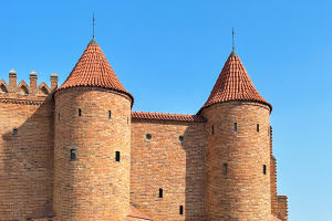 Varsovia vibrante
