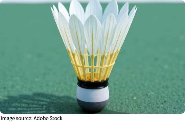 Les bases du badminton