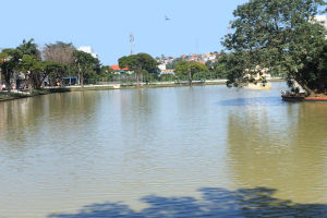 Trem para Guarulhos