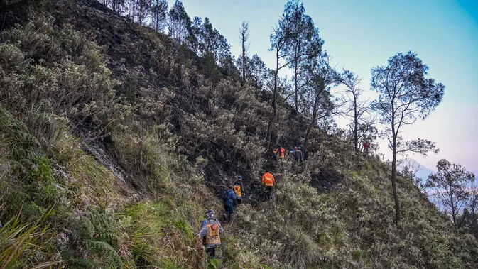 Karhutla Gunung Bromo Capai 550 Hektare Relawan memadamkan api di Taman Nasional Bromo Tengger Semeru dekat Gunung Bromo di Pasuruan, Jawa Timur, Senin, 10 Agustus 2026. (AFP/ Juni Kriswanto)
