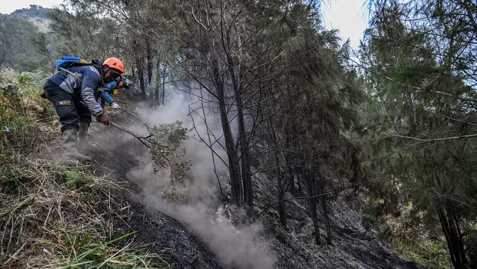 Karhutla Gunung Bromo Capai 550 Hektare Relawan memadamkan api di Taman Nasional Bromo Tengger Semeru dekat Gunung Bromo di Pasuruan, Jawa Timur, Senin, 10 Agustus 2026. (AFP/ Juni Kriswanto)