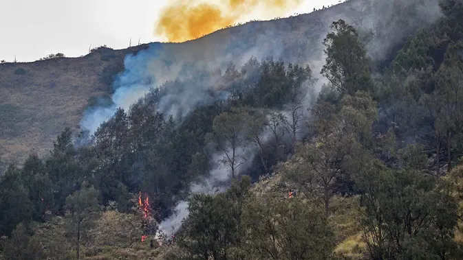 Karhutla Gunung Bromo Capai 550 Hektare Asap membubung dari kebakaran hutan di Taman Nasional Bromo Tengger Semeru dekat Gunung Bromo di Pasuruan, Provinsi Jawa Timur, Senin, 10 Agustus 2026. (AFP/ Juni Kriswanto)