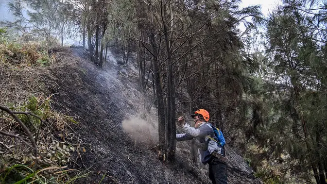 Karhutla Gunung Bromo Capai 550 Hektare Relawan memadamkan api di Taman Nasional Bromo Tengger Semeru dekat Gunung Bromo di Pasuruan, Jawa Timur, Senin, 10 Agustus 2026. (AFP/ Juni Kriswanto)