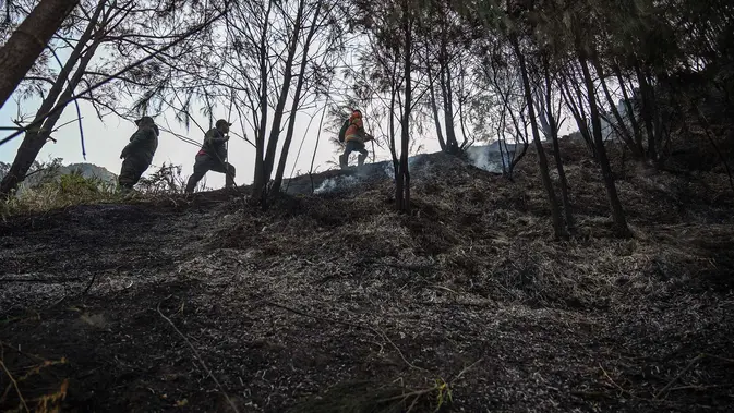 Karhutla Gunung Bromo Capai 550 Hektare Relawan memadamkan api di Taman Nasional Bromo Tengger Semeru dekat Gunung Bromo di Pasuruan, Jawa Timur, Senin, 10 Agustus 2026. (AFP/ Juni Kriswanto)