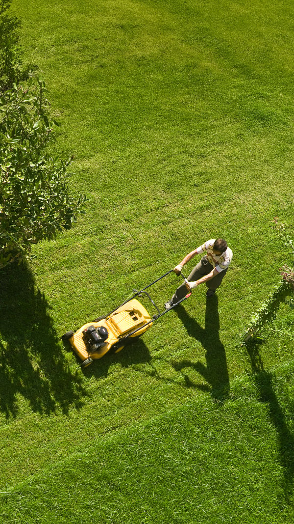 Is Your Lawn Too Short?