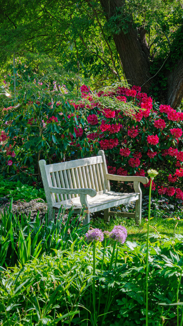 Seats Among the Blooms