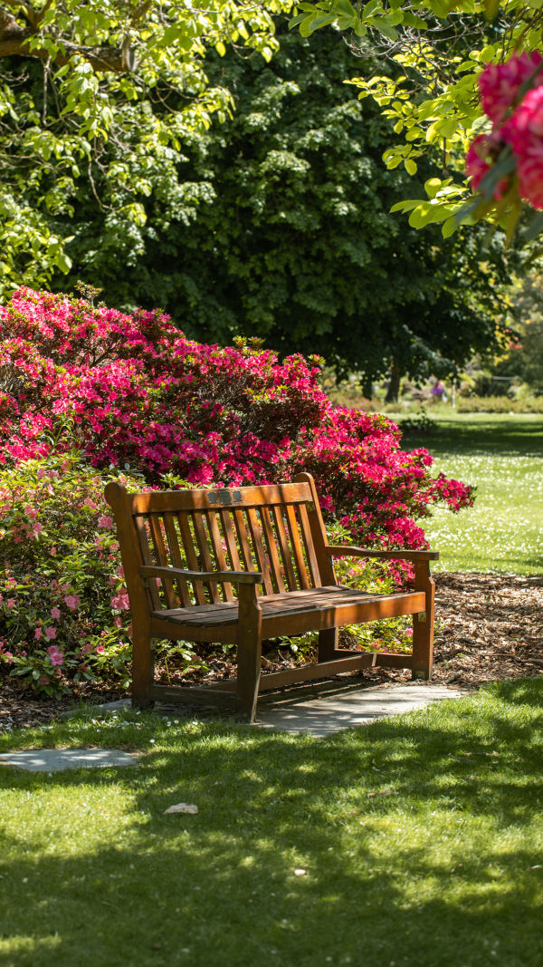 Artful Outdoor Living