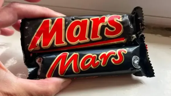 Cokelat Berusia 35 Tahun Ditemukan, Ukurannya Bikin Netizen Kaget! Cokelat Berusia 35 Tahun Ditemukan, Ukurannya Bikin Netizen Kaget!