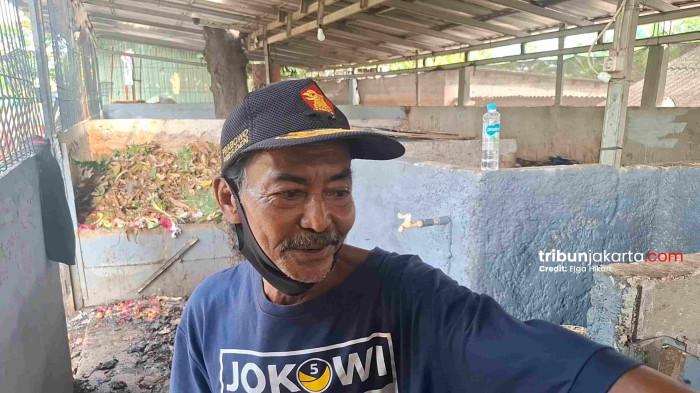 KELOLA SAMPAH MANDIRI - Muhammad Ali menunjukkan progres pengolahan sampah organik menjadi kompos di Rumah Hijau RW 07 Joglo, Kembangan, Jakarta Barat.