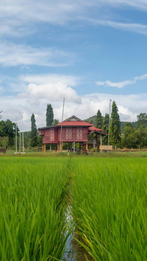 Traditional Malay House