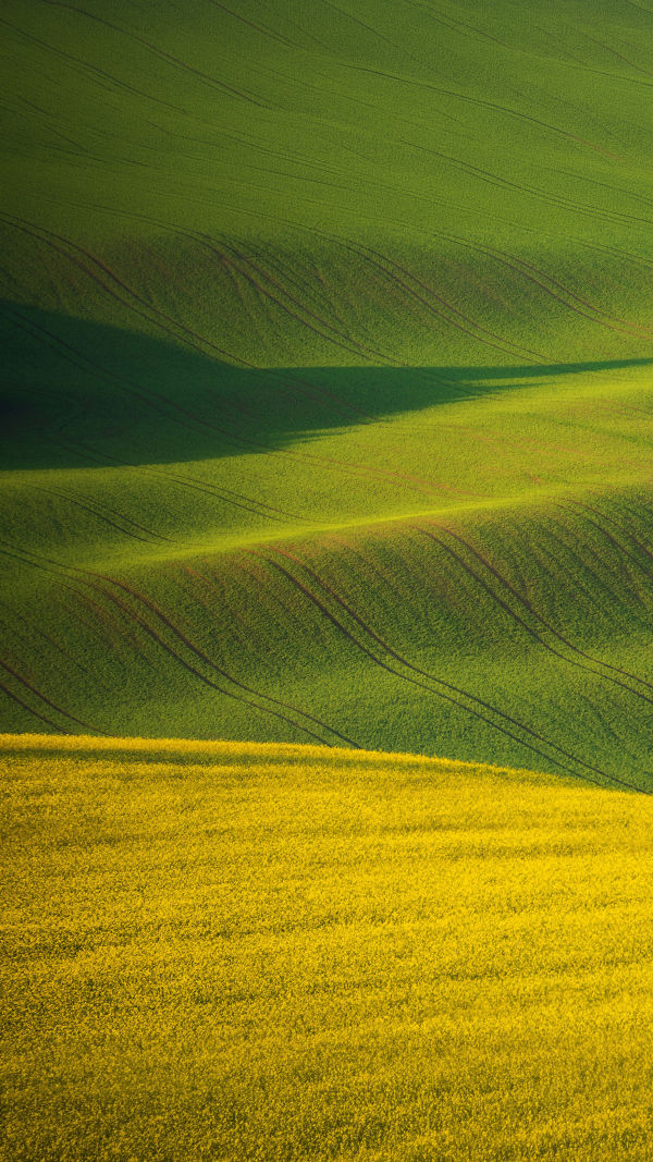 Palouse Prairie in Layers