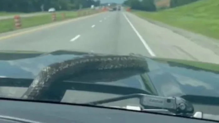 Load failed