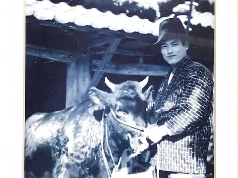 IT alih profesi jadi peternak wagyu Mantap Jadi Peternak Sapi Wagyu, Pria Ini Tinggalkan Karier IT Kantoran