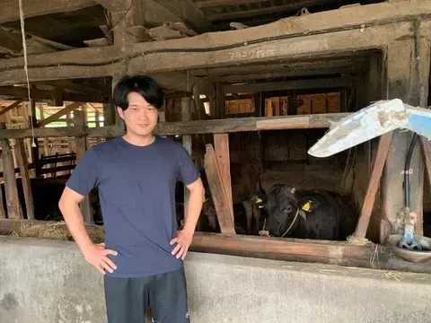 IT alih profesi jadi peternak wagyu Mantap Jadi Peternak Sapi Wagyu, Pria Ini Tinggalkan Karier IT Kantoran