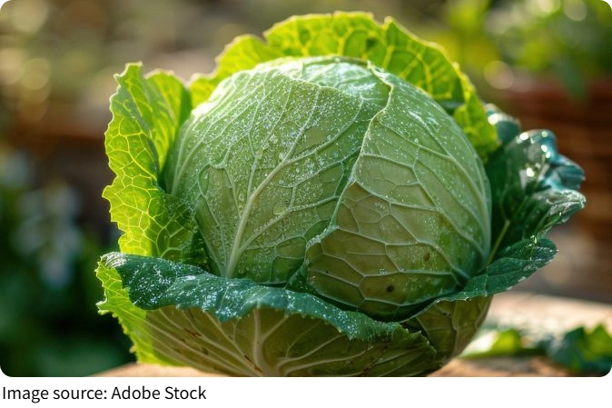 Why Veggies Change