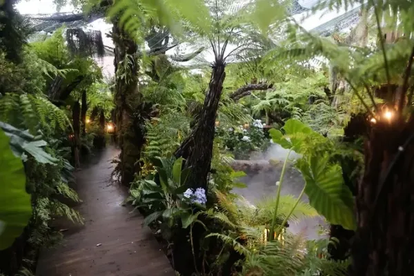 Inside Noong Oi restaurant, in September 2024. Photo: Quynh Tran