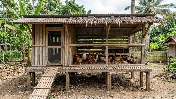 Kandang Panggung dengan Lantai Bilah Kayu. (Gambar: AI Generated)