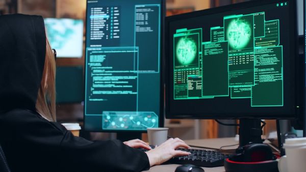 Database security, Vector Search