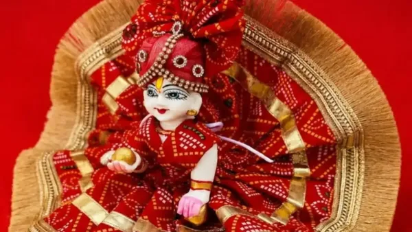 Unique costume design for Laddu Gopal on Janmashtami: Know how to decorate