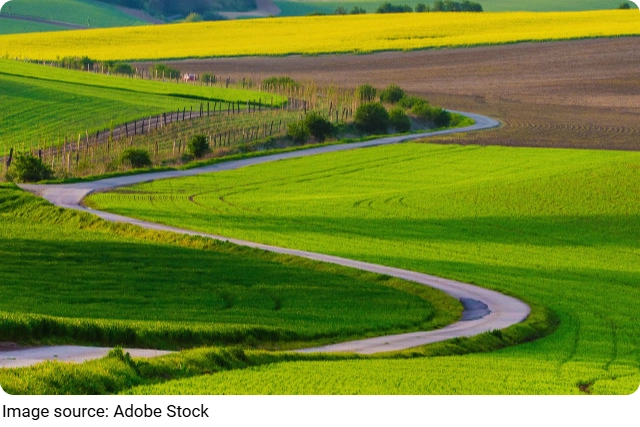 Bức tranh thu ở Moravia