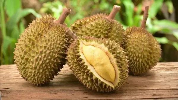 Durian Durian