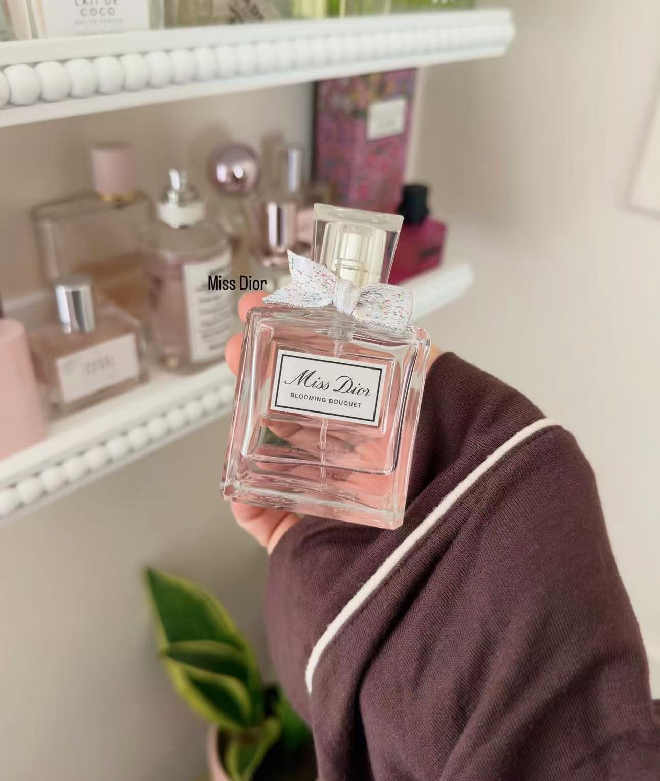 My Soft Perfume Trio