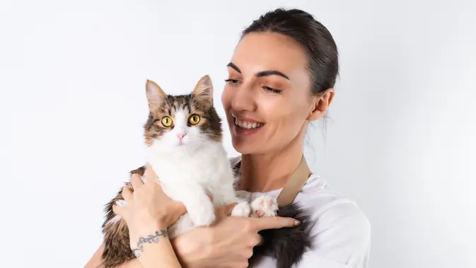 Ilustrasi kucing peliharaan (copyright Freepik)