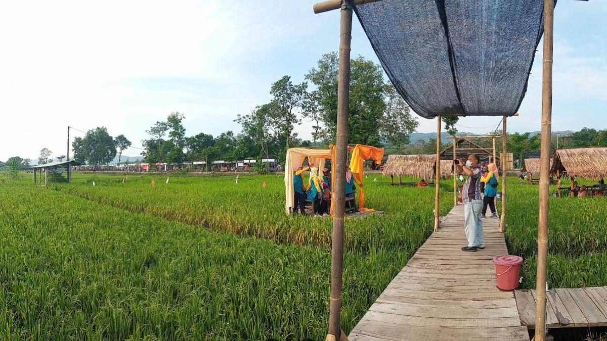 KABAR KLATEN - Stasiun Semut Bayat Klaten, destinasi kuliner di pinggir sawah yang bikin penasaran.