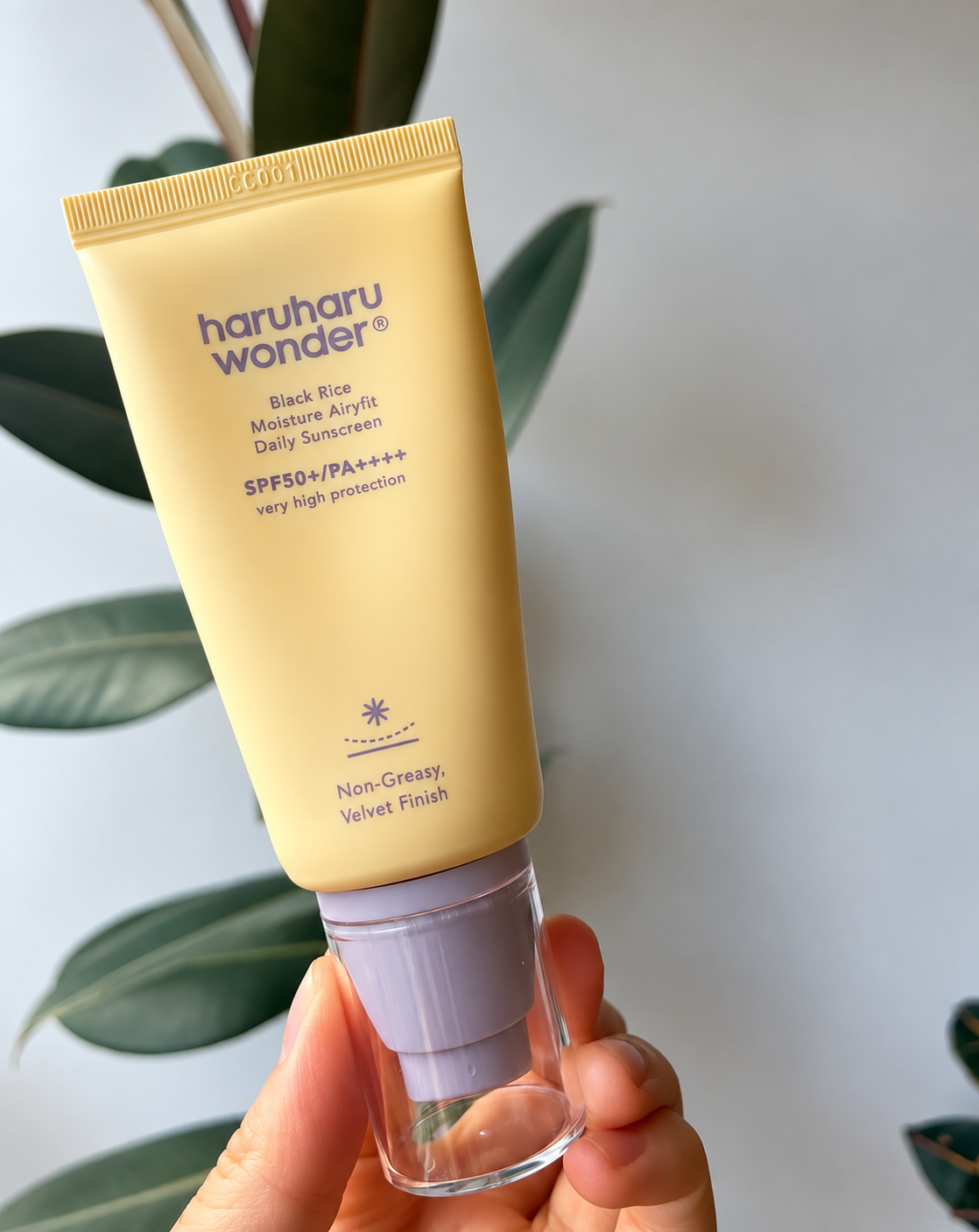 Best Korean Sunscreens
