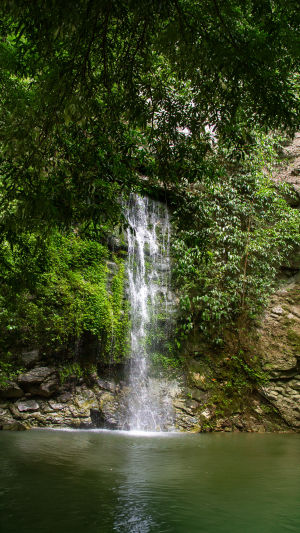Paku Waterfall