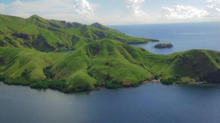 Sut panorama Bukit Liaga di Kabupaten Ende Flores Nusa Tenggara Timur. Sabana menghampar di punggungan perbukitan yang menjorok ke Laut Flores, mirip panorama Pulau Padar di Labuhan Bajo.