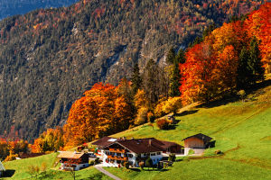 Europe’s Autumn Colours