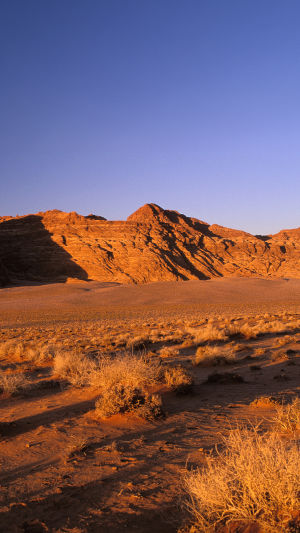 Wadi Rum Desert Escape