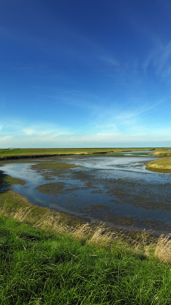 Wadden Sea Tidal Walks