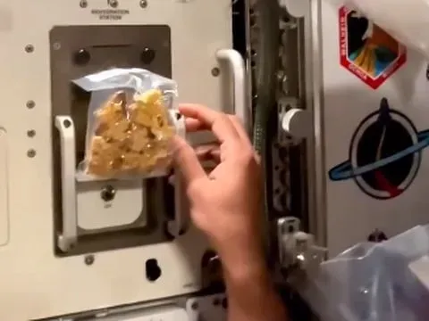 Nggak Sembarangan, Begini Cara Astronot Bikin Salad di Luar Angkasa