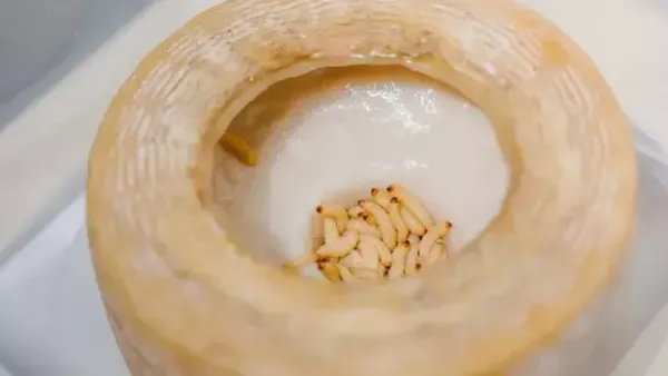 Disgusting Food Museum yang hadir di Hong Kong